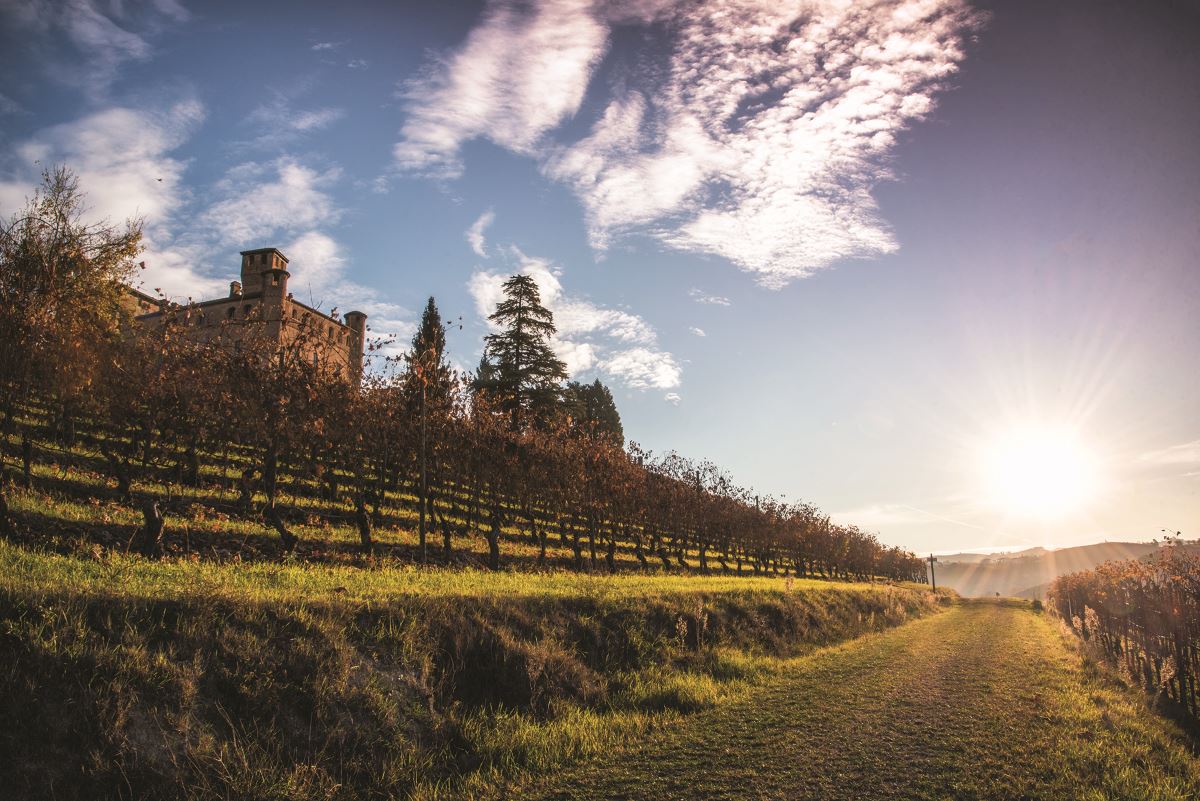 Wine Focus: Verde/Bianco/Rosso