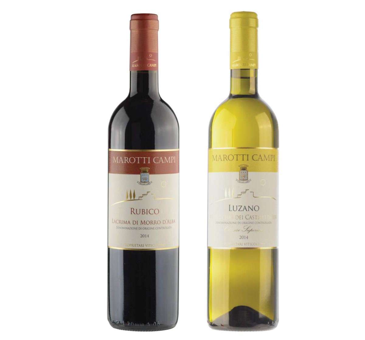 Angelini Wines Offers Two New Marotti Campi Wines