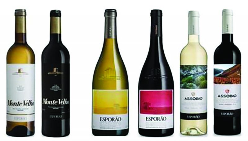 Best Beverage Offers New Wines with Portfolio Additions