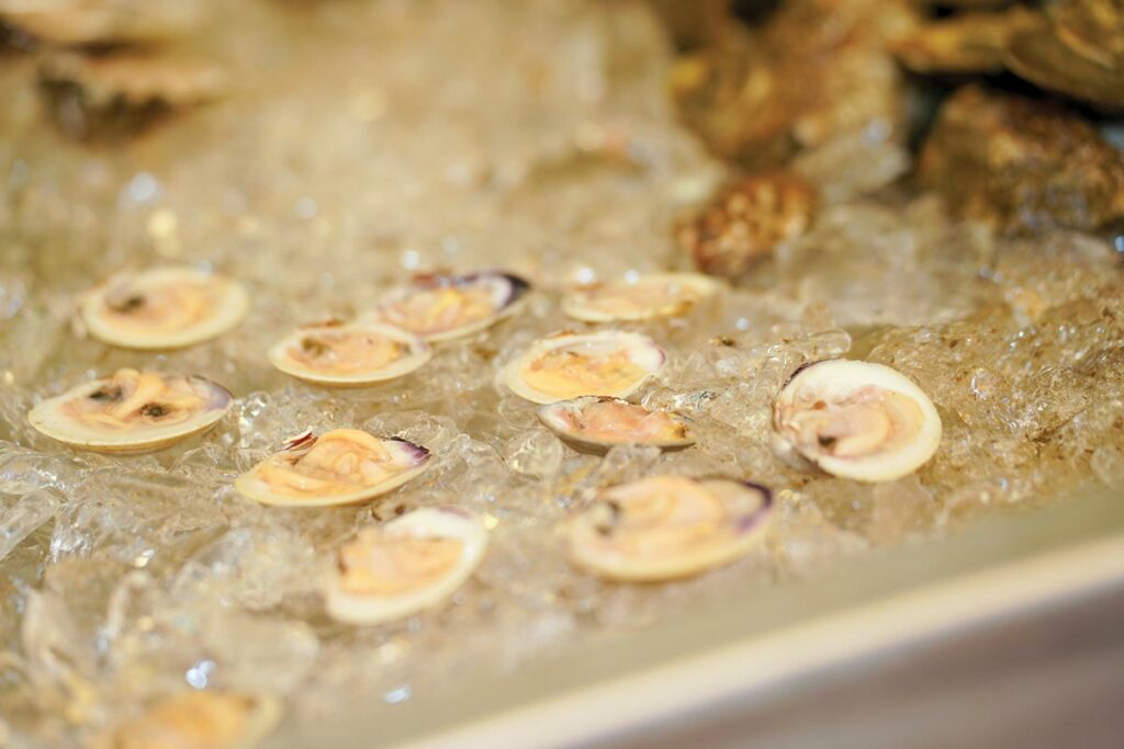 Bowen’s Wharf Seafood Festival Serves Up Fresh Tastes The Beverage