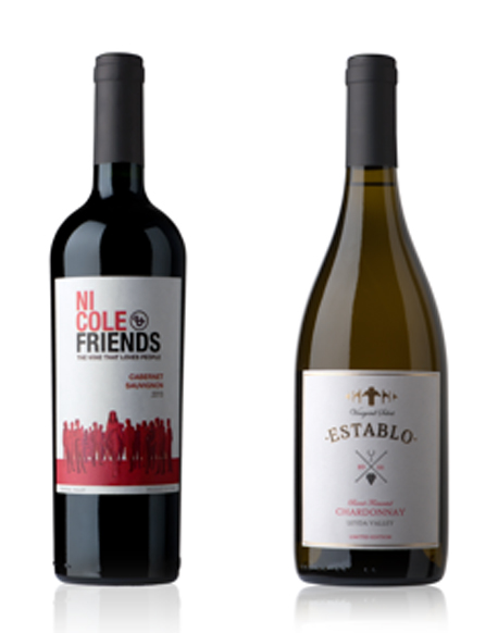 Chilean Artisanal Wine to Benefit People with Special Needs