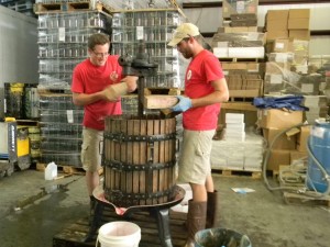 Newport Storm brewmaster, Derek Luke - left, and brewer, Jason Tsangarides - right, using Newport Vineyards wine press to press this year’s blueberries from Shartner Farms for our Rhode Island Blueberry Beer. 