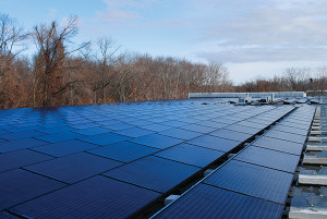 1,302 solar panels, which cover 50,000 square-feet of Eder Bros., warehouse roof.