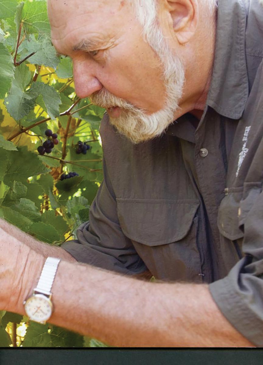 Willamette Valley Pinot Noir Pioneer Passes Away