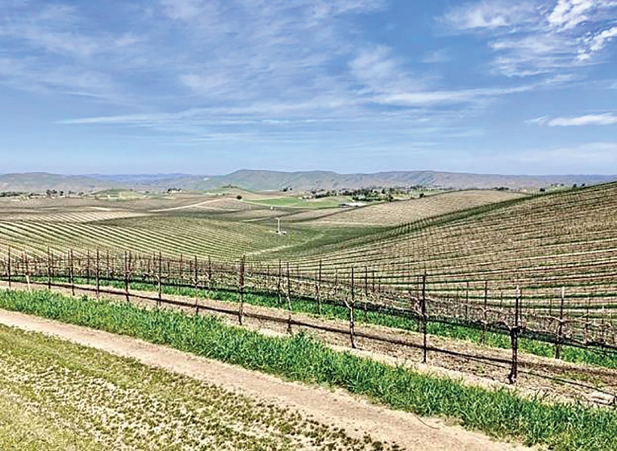 Duckhorn Acquires Paso Robles Vineyard