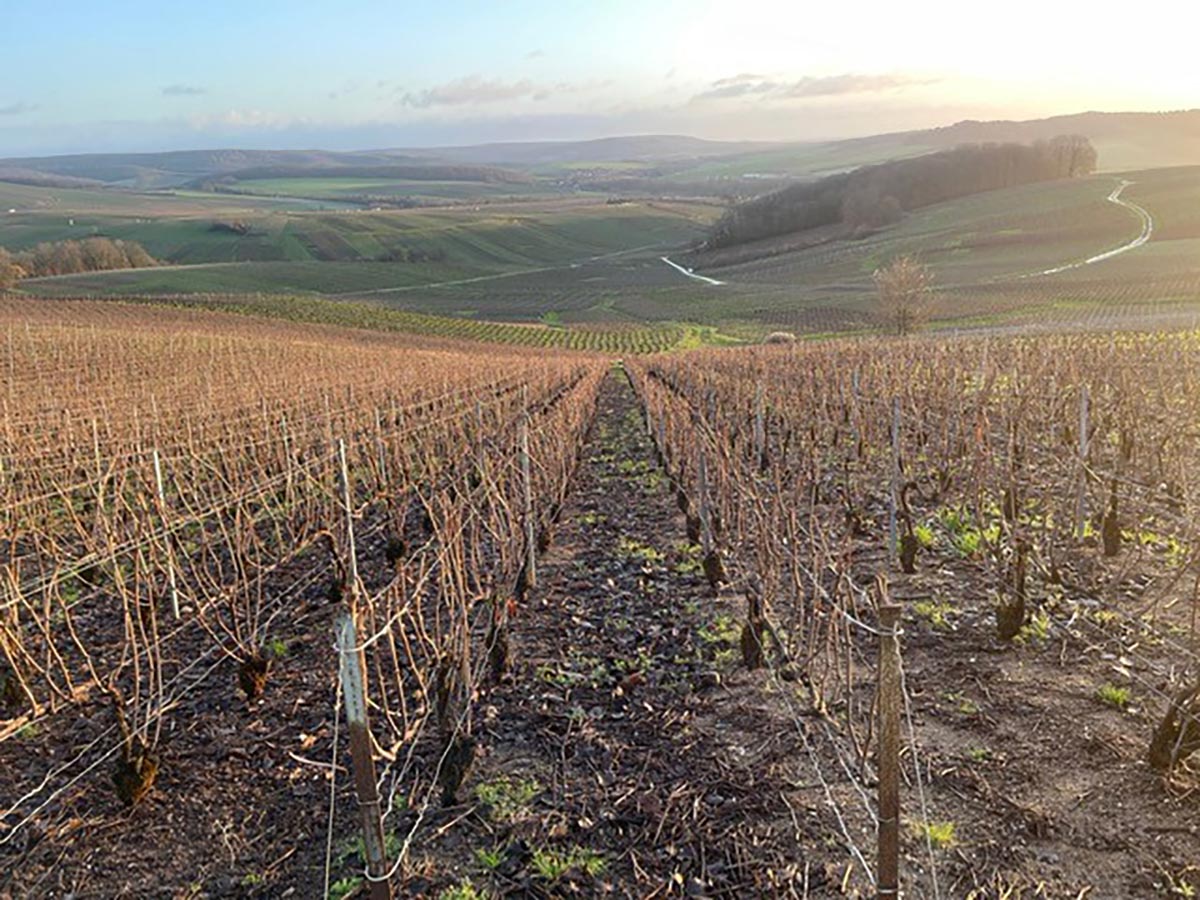 Management Insight: Winter Wine Vacation France, Part One