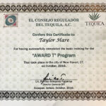 An individual certification that more than 50 members of the Geronimo team received for passing the Tequila Regulatory Council test.