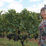 Elaine Mills, Grape Grower Viticulturist, Stonington Vineyards.