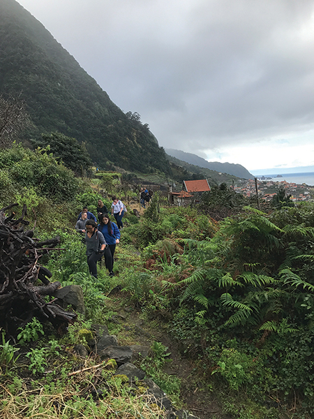 Guest Column: Volcanic Island Wines of Madeira and The Azores