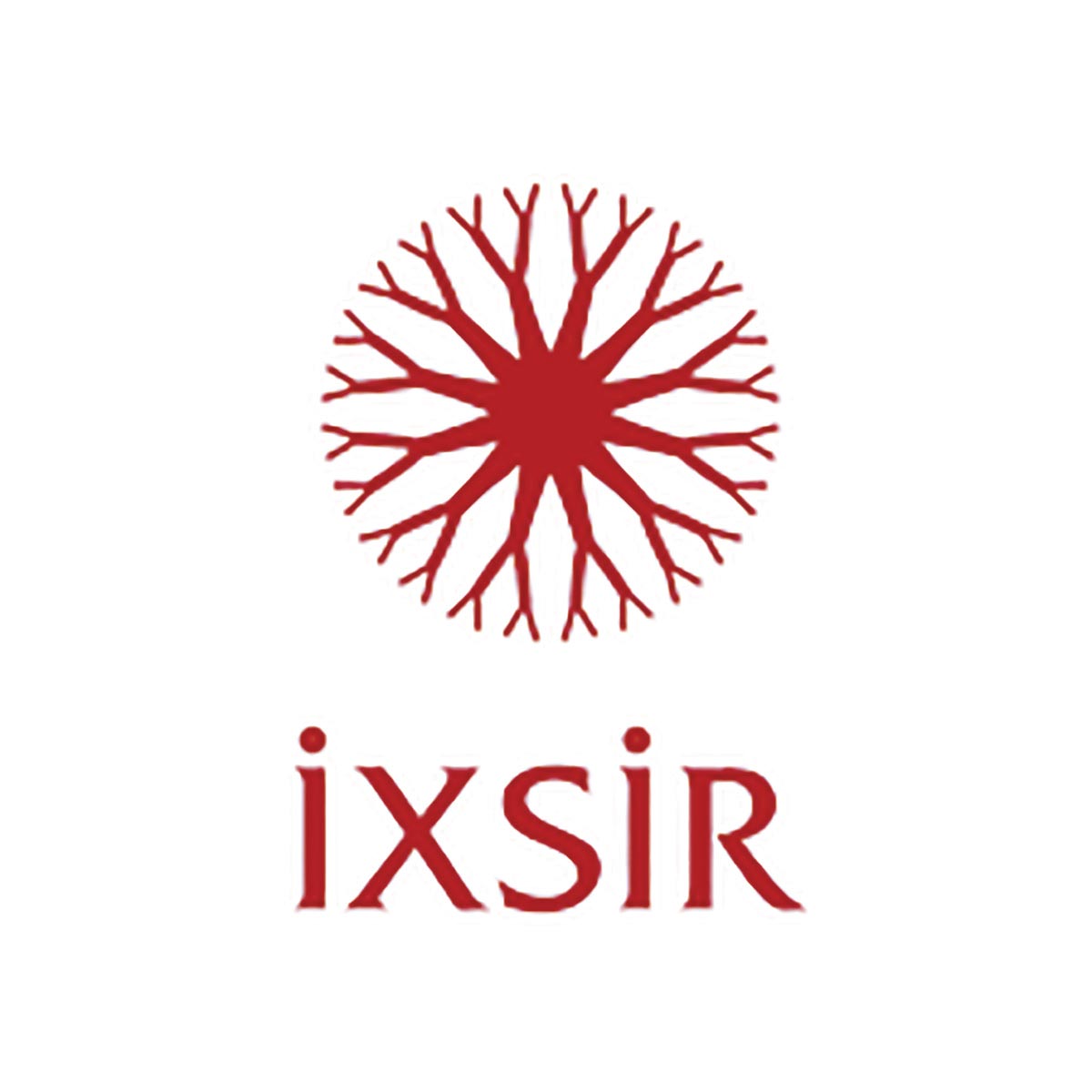 Fine Terroir Celebrates Ixsir Wine Win