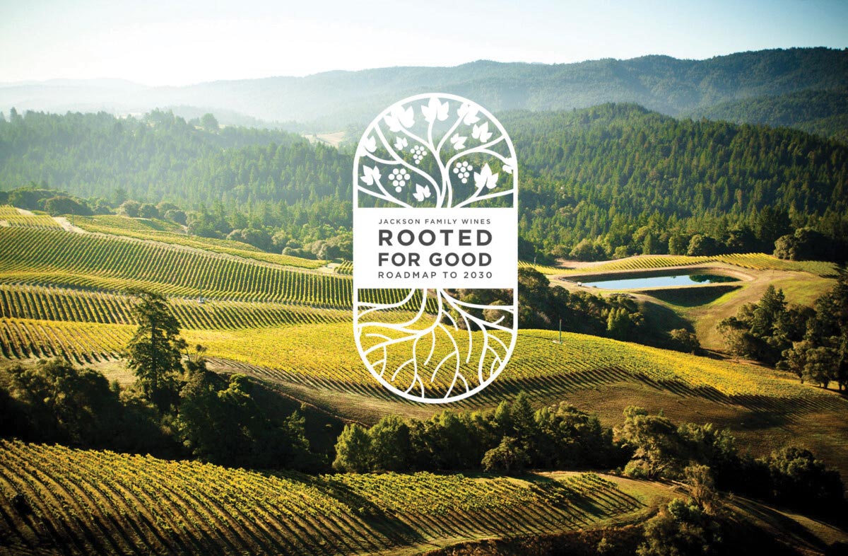 Jackson Family Wines Unveils Sustainability Plan