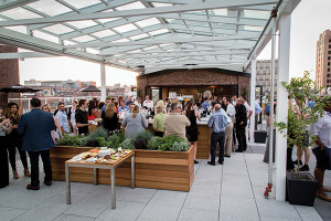 Rooftop party scene.