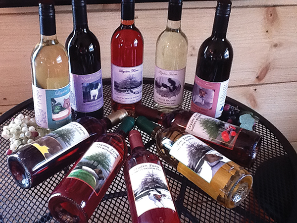Leyden Farm Vineyard & Winery