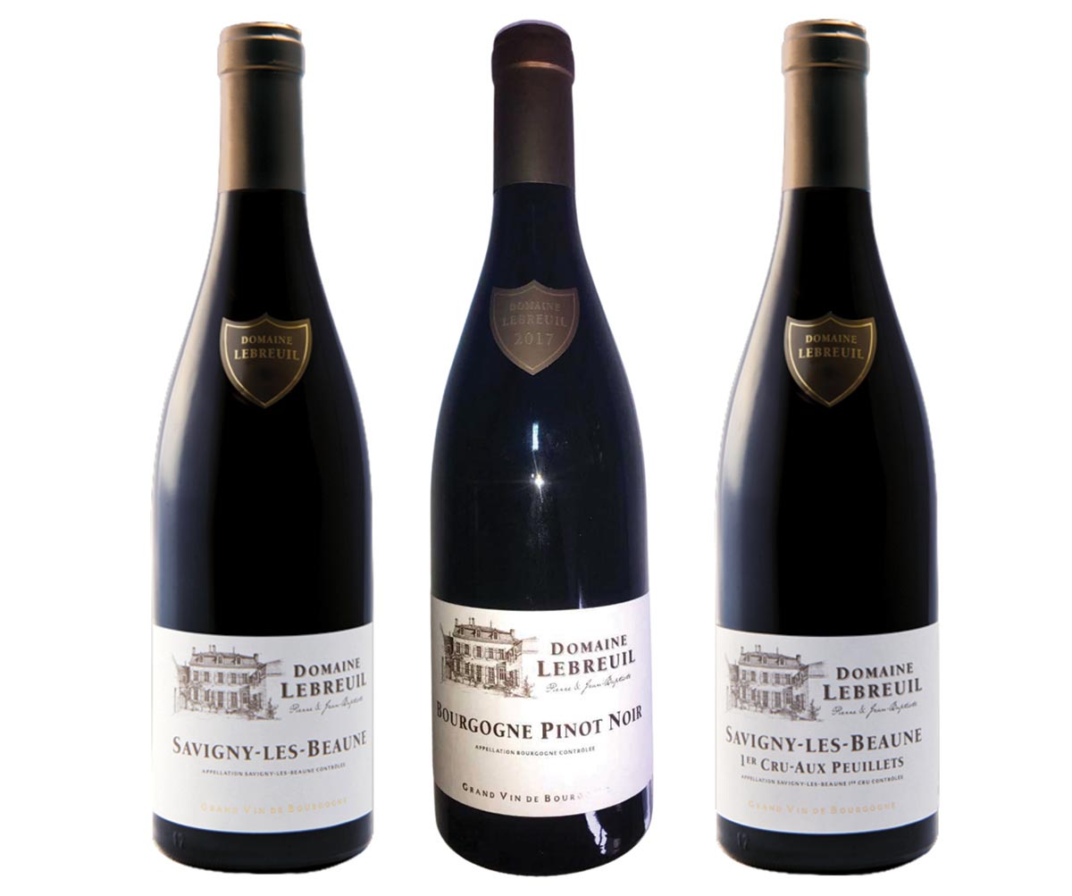 Angelini Wine Adds New Burgundy Region Wines