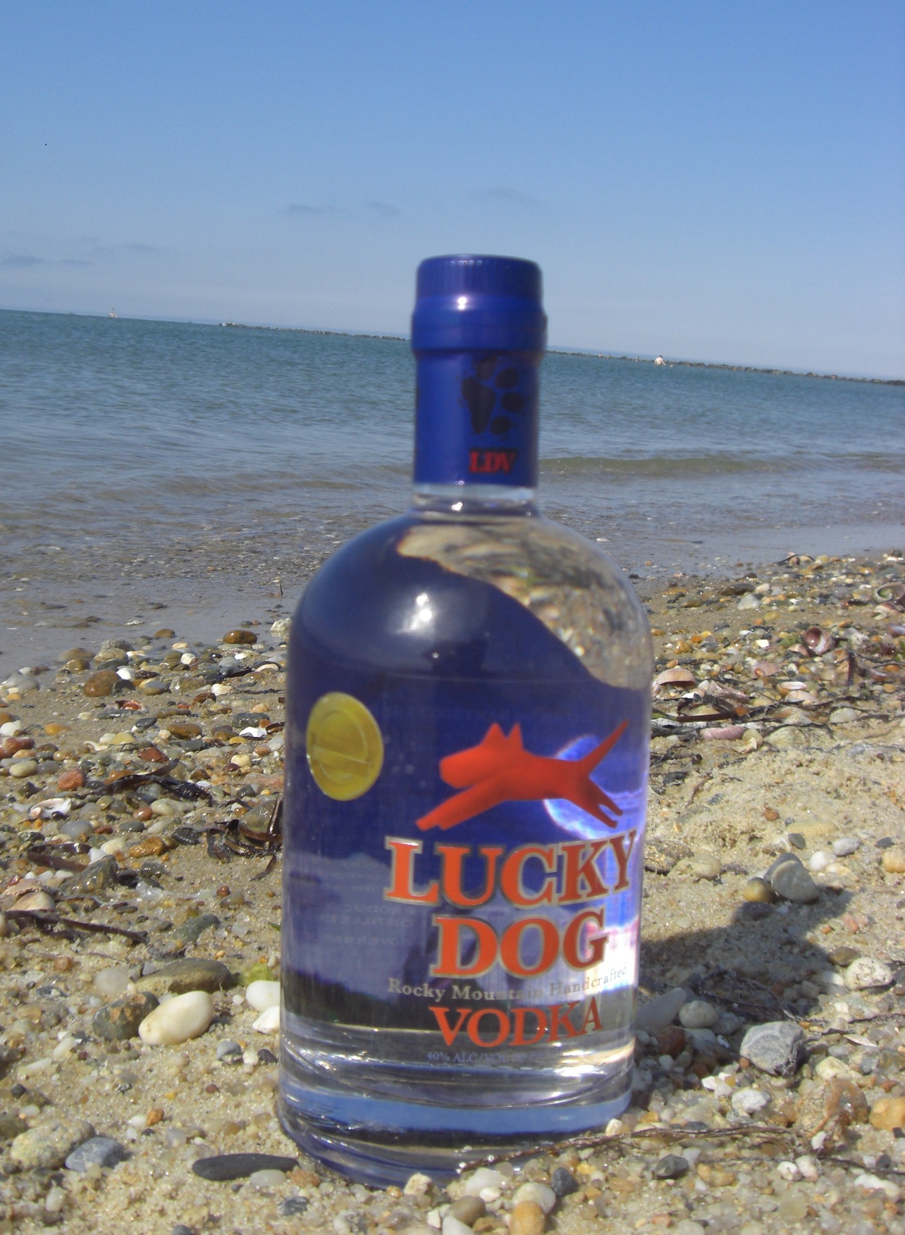 Lucky Dog Vodka launches in New England