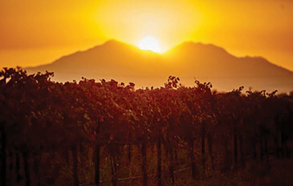 TTB Establishes Contra Costa AVA, Expands AVAs