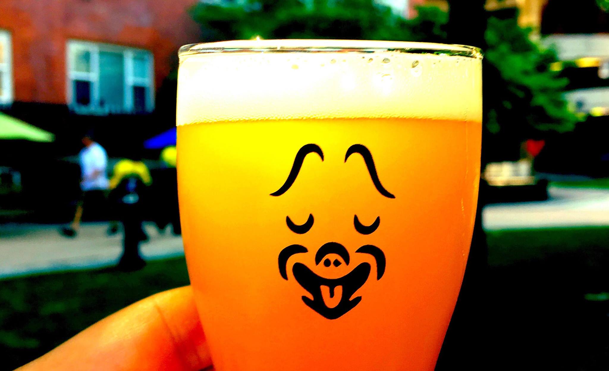 August 24, 2019: New Haven Craft Beer Fest