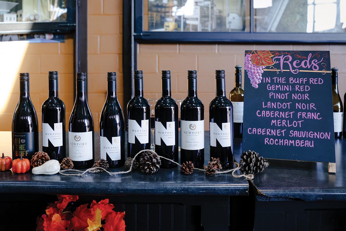Newport Vineyards Hosts Annual Harvest Fest