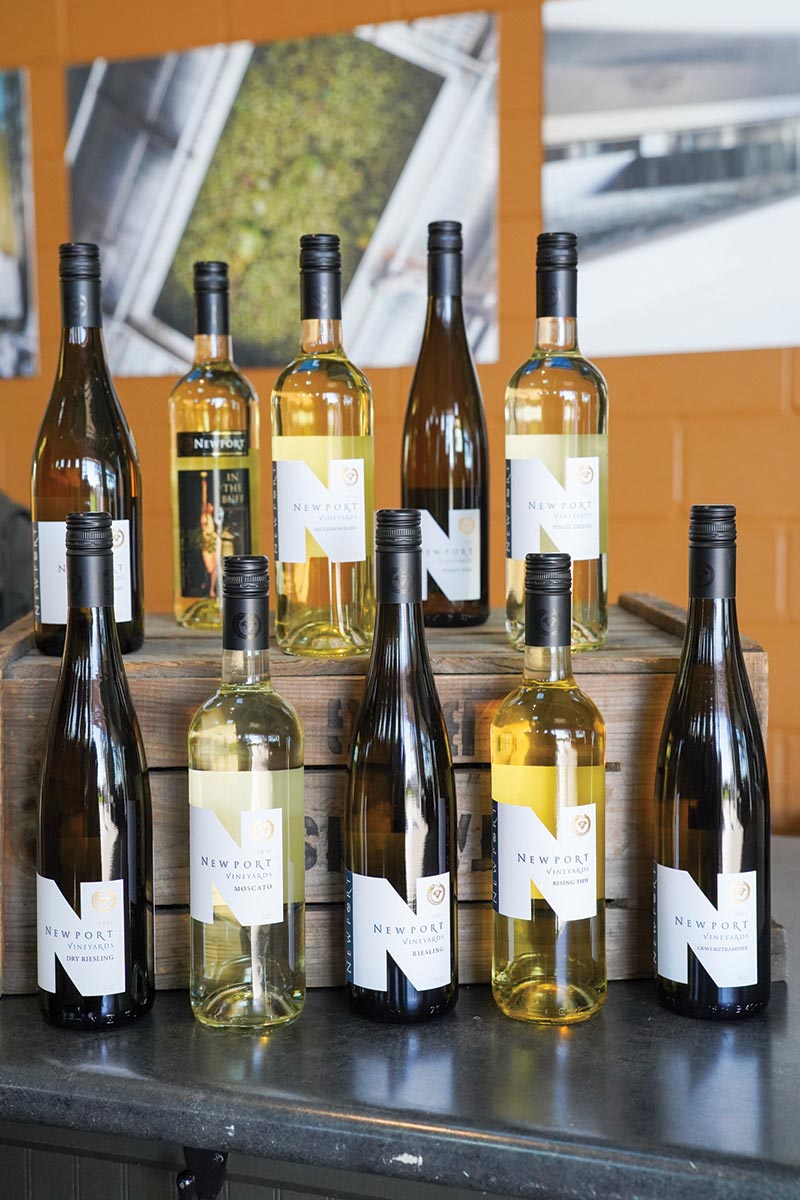 Newport Vineyards Hosts Weekend Harvest Festival