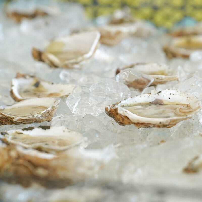 Ocean State Oyster Festival Returns to Riverwalk Park The Beverage