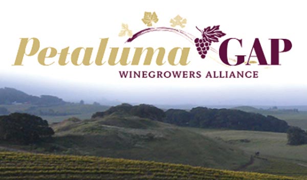 The Petaluma Gap Named Newest American Viticultural Area (AVA)​