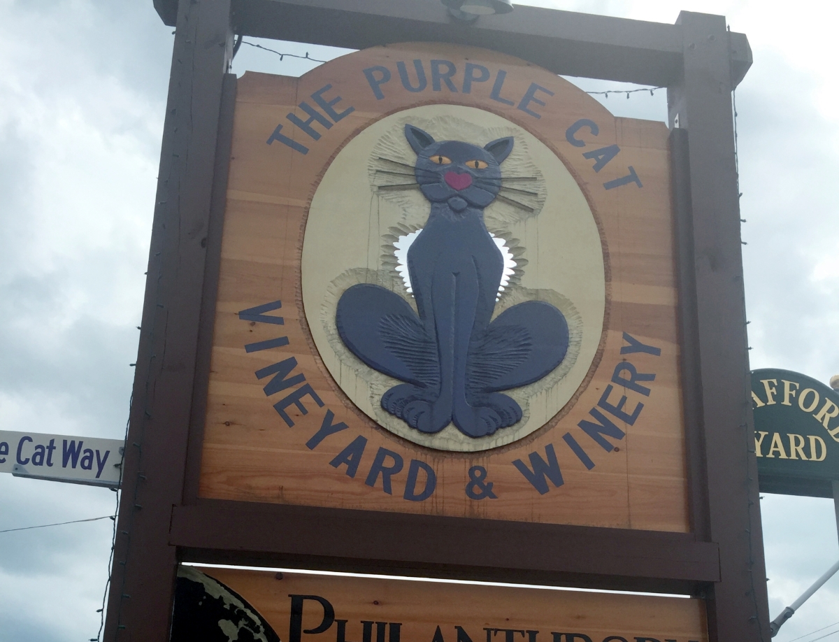 Vineyard View: The Purple Cat Vineyard & Winery Brews Up Business