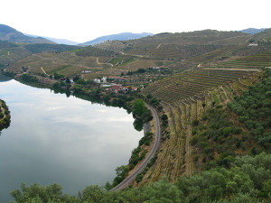 The Duoro River and Quinta de Vargellas, home to Taylor Fladgate. Photo taken by Micthell on a visit to the port producer in 2011.