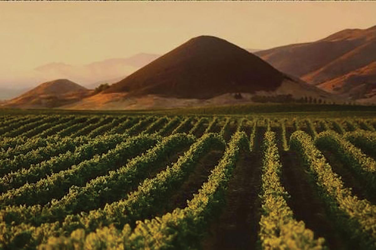 Newest California Wine Region Announced