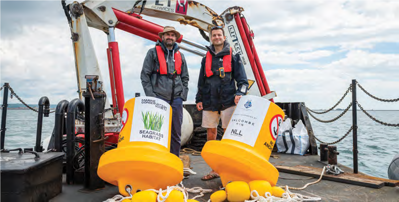 Salcombe Distilling Companyhelped fund a No Anchor Zone to save seagrass in the U.K.’s
Portland harbor