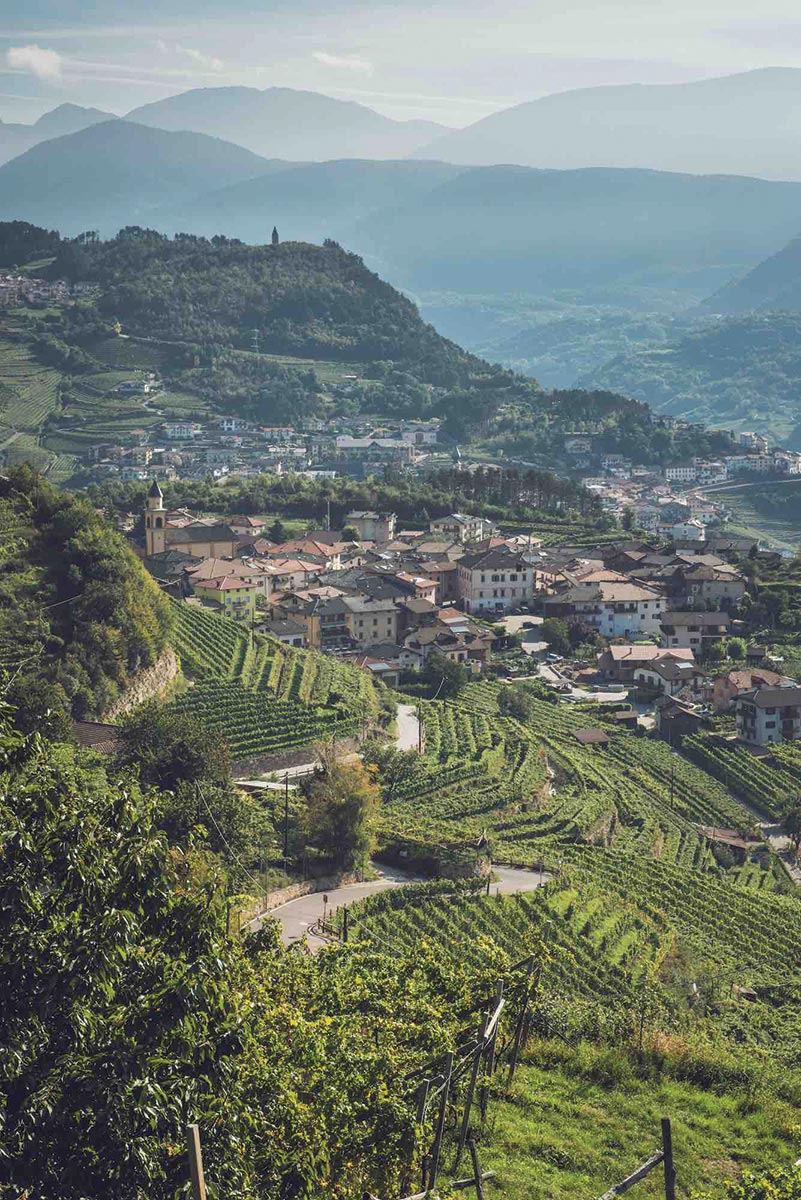 Italy’s Trentino Named Wine Region of the Year