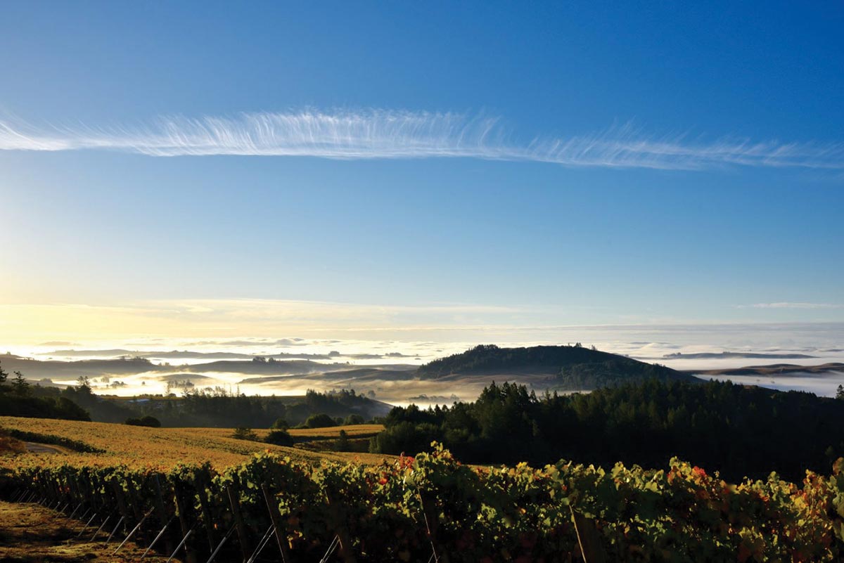 TTB Approves West Sonoma Coast AVA