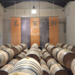 During a cellar tour at Livon. 