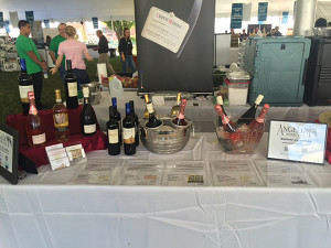 The Angelini Wines table display at the festival.