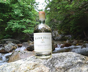 Barr Hill Gin 