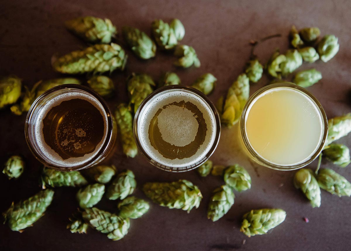 Beer Column: Hop Evolution