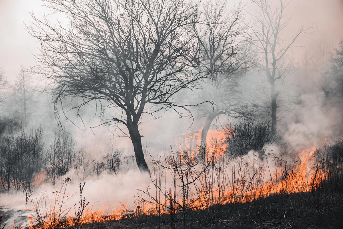 September Wildfires Hit California Wine Country Hard