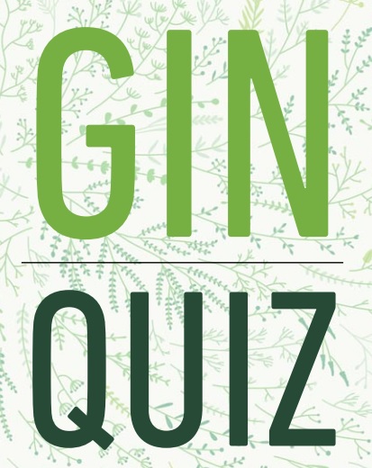 Back To Basics: Gin Quiz