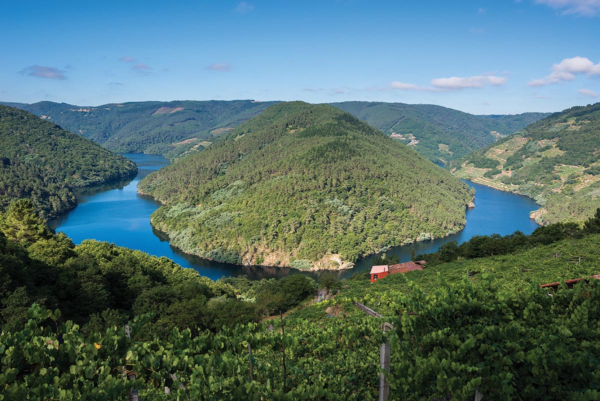 Wine Column: The Wines of Galicia, Part 3