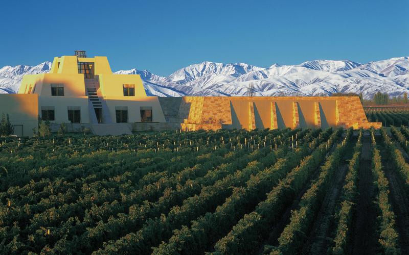 July Wine Focus: Argentina’s Fresh Take