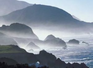 Ocean breezes and fog make the Sonoma Coast a hotspot for Pinot Noir in particular.