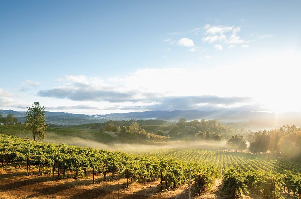 Management Insight: California Wine Month, History in a Glass