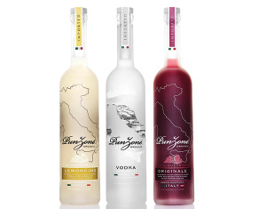 PunZoné Vodka 