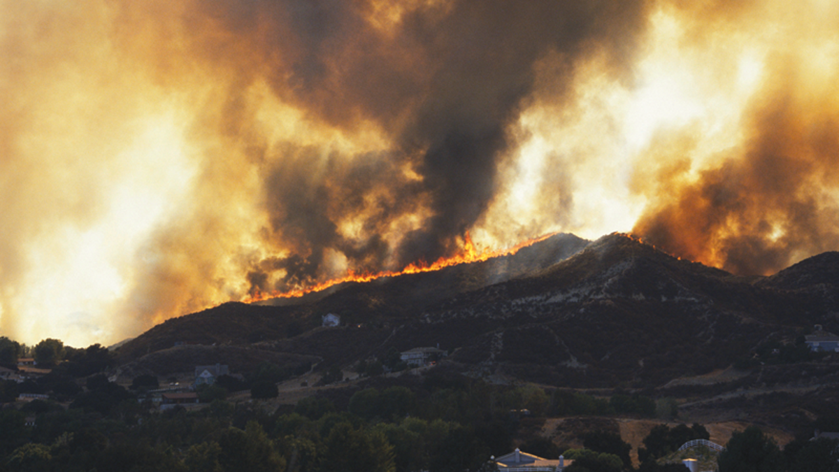 Industry Focus: California Wildfire Update