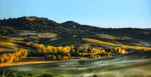 toc_Montepulciano-copy