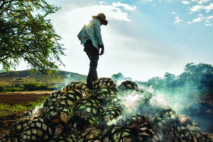 Roasting agave piñas at Del Maguey