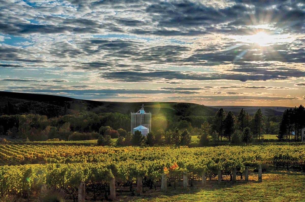 Walla Walla Wins Wine Region Readers’ Choice Poll