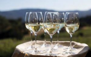 Napa Sauvignon Blanc has gained critical acclaim and is helping to chip away at Chardonnay's long reign as top varietal white wine.