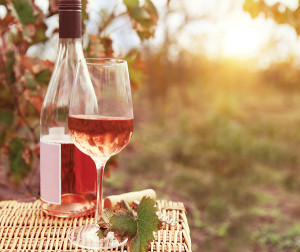 One glass and bottle of the rose wine in autumn vineyard